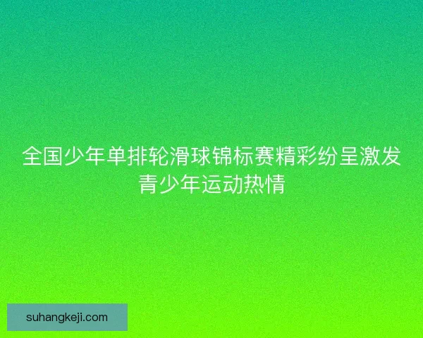 全国少年单排轮滑球锦标赛精彩纷呈激发青少年运动热情